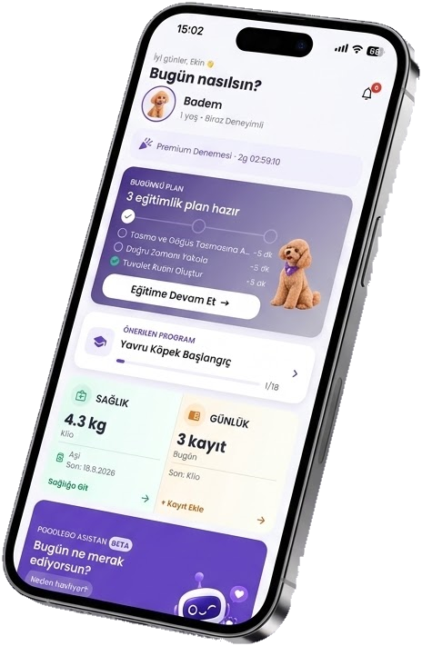 PoodleGo uygulamasının ana sayfa ekranını gösteren telefon